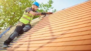 Best Roof Moss and Algae Removal  in Graham, NC